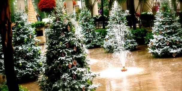 GatheringGuide's tweet image. Winter Holiday Weddings: weddings.gatheringguide.com/ac/wedding-the… #winterholidays #Christmas #Hanukkah #wedding #weddingplanning