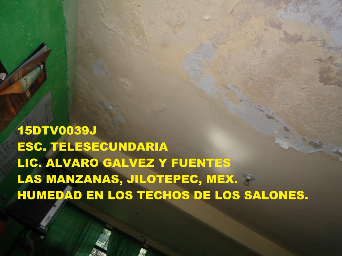 Alvaro Galvez Fuente tweet media