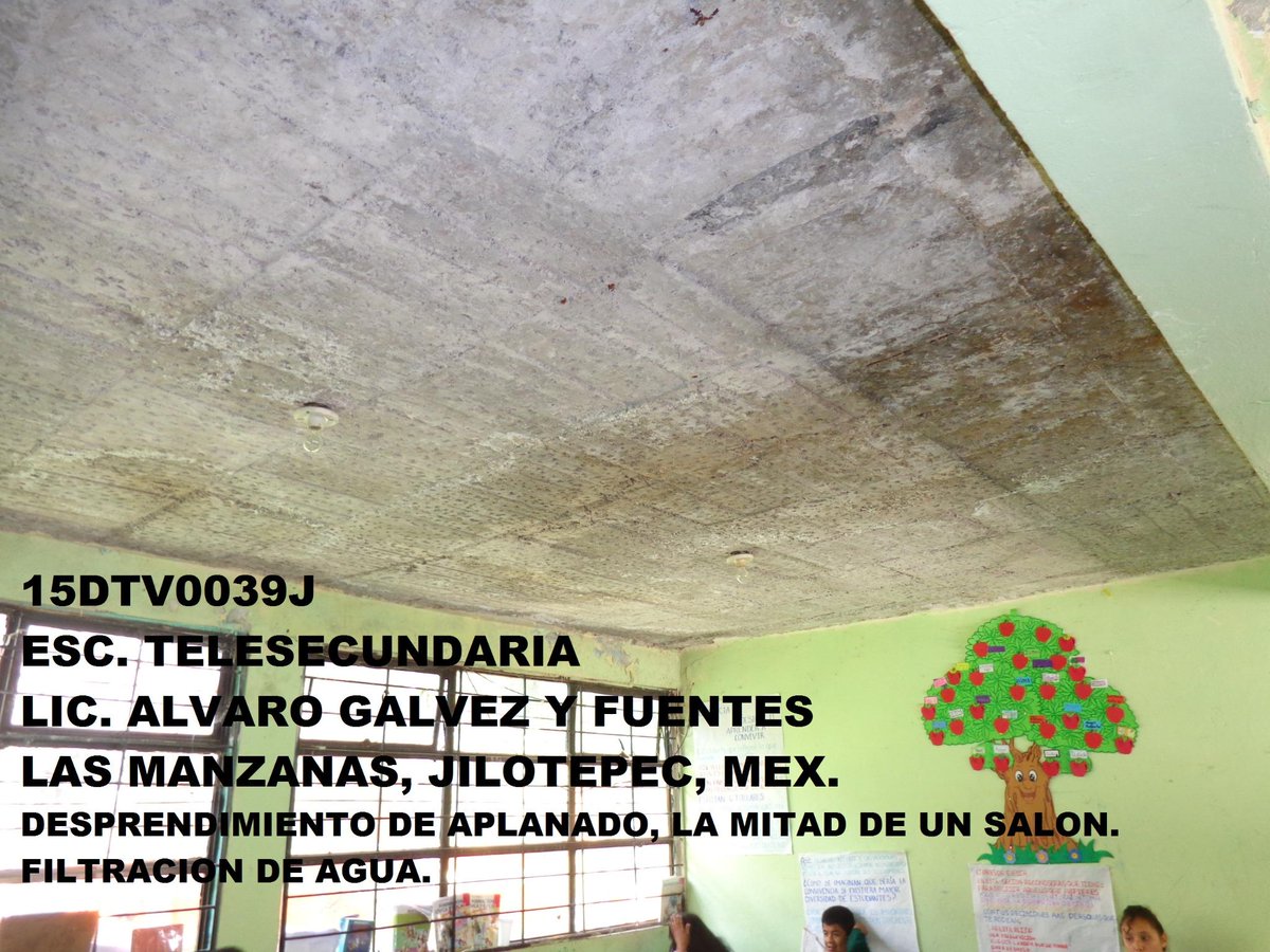 Alvaro Galvez Fuente tweet media