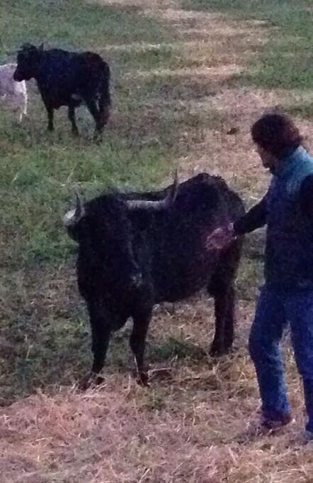 Romero1Andres's tweet photo. Buenas noches desde la soledad y nobleza del campo!!! Saludos a tod@s!! http://t.co/thBt0JayH3