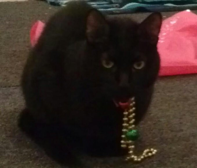 My sexy Knight ;-) http://t.co/lILwELepfL