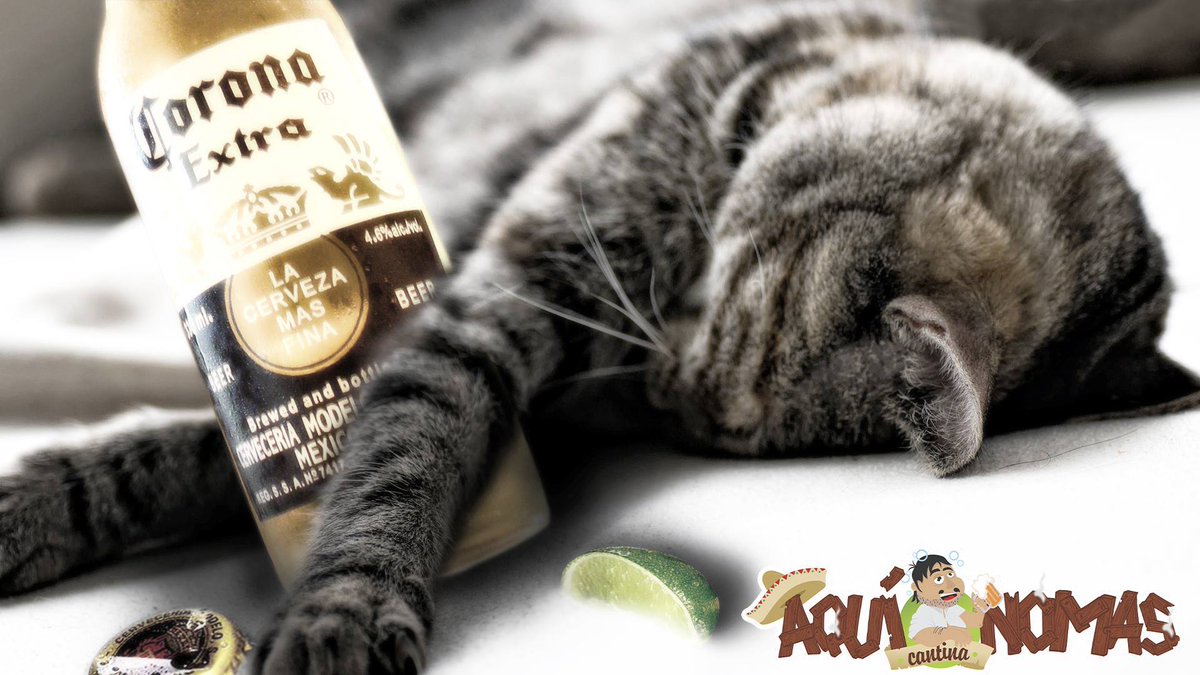 Aquinomasbar's tweet photo. En Aquí Nomas Bar encontrarás el mejor ambiente el cual puedes visitar con tus amigos para pasar un buen momento. http://t.co/61cJ8MCFBz