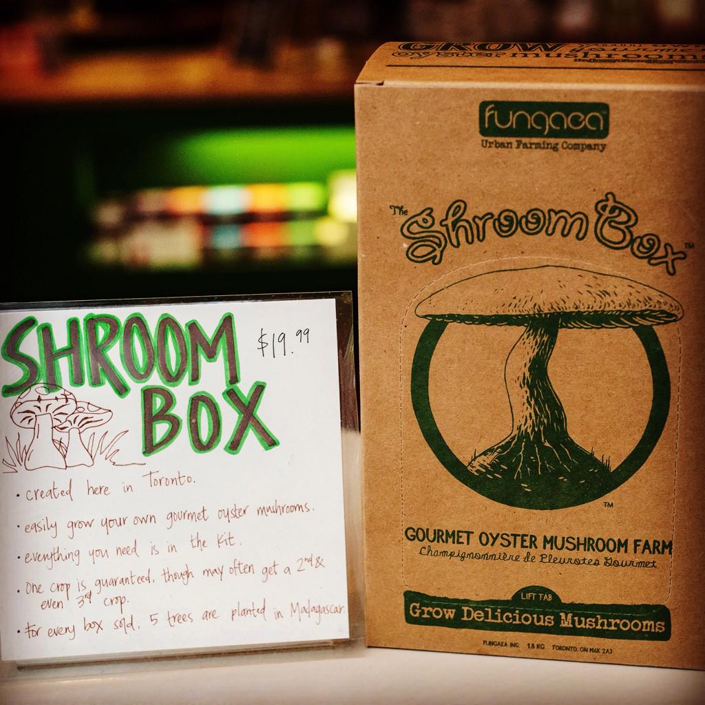 BoltFreshBar's tweet photo. Bolt holiday gift idea: The ShroomBox from @fungaea! | #shrooms #queenwest #parkdale #toronto http://t.co/h9pa6cg8zY