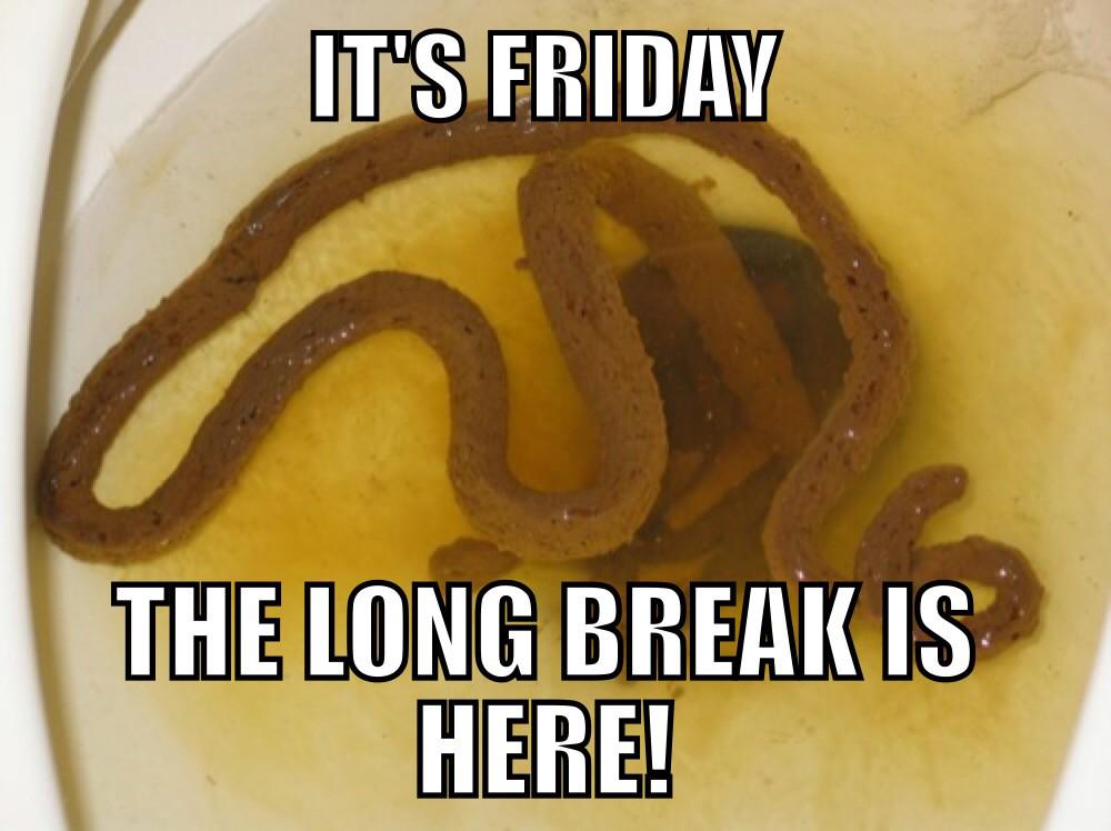 ItsFridayMemes's tweet photo. The long break is here!
#itsfridaymemes
#itsfriday http://t.co/ka0Rvv3f1z