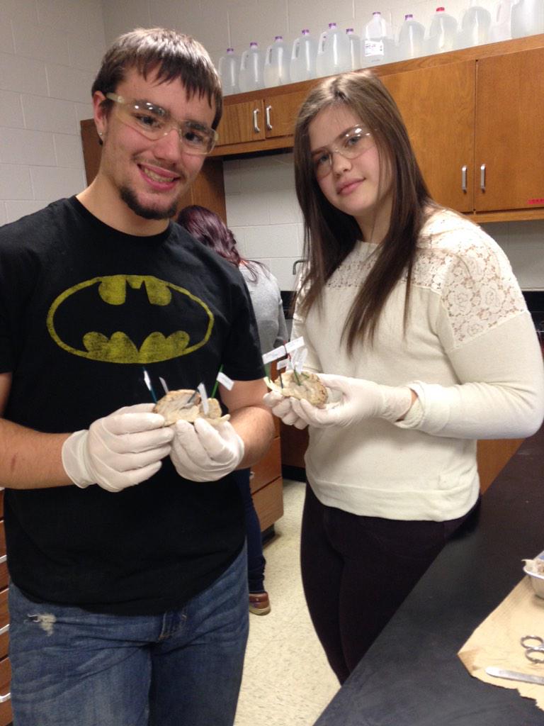 Da_Eager_Beaver's tweet photo. @k_richardss @JordanC_03 @Danny_jones77 #RHSBMS @wearrrichmond BRAIN DISSECTIONS! http://t.co/oHtNq9Yv83