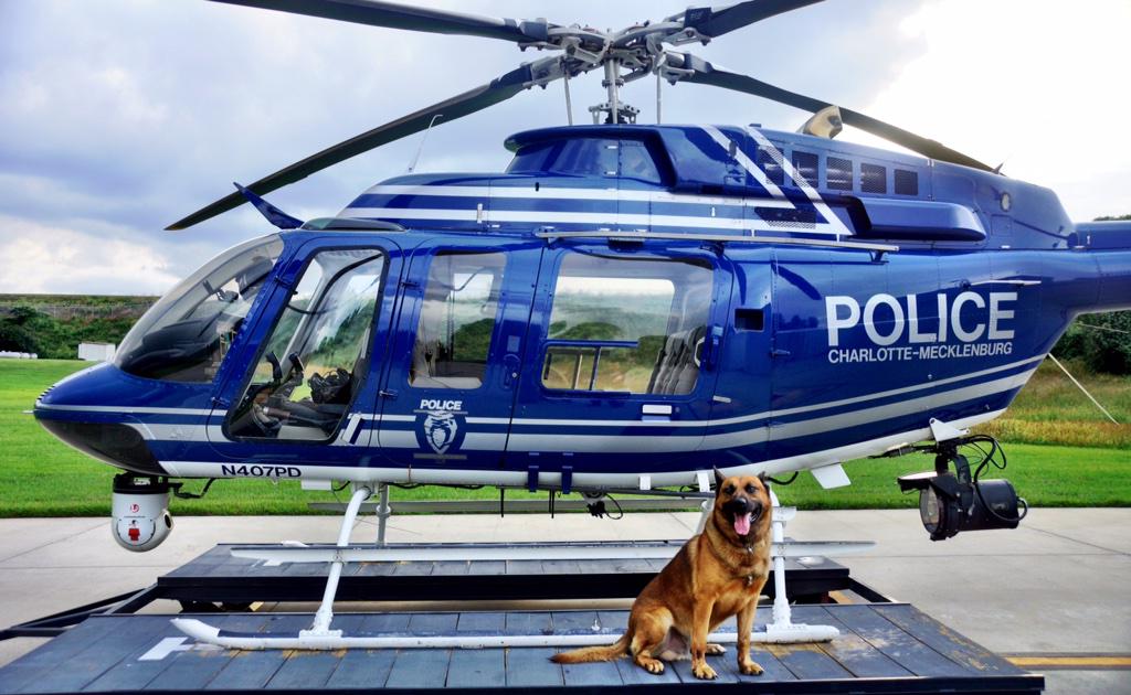 CMPD's tweet photo. #Snoopy and BEVO ready to protect the QC @PoliceK9sandMWD @PK9Mag @WarriorDogs @GoodNewsCops http://t.co/5ZVZvc9CF8
