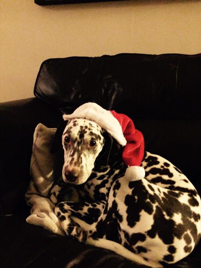 AlisonV_tesco's tweet photo. Hey Santa don't forget to call With our pressies We are all ready #itschristmas http://t.co/kpiSpAZelA