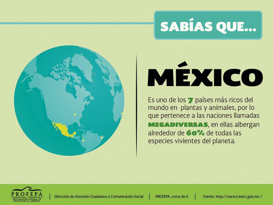 Por Que Mexico Es Un Pais Megadiverso Mexico Megadive - vrogue.co