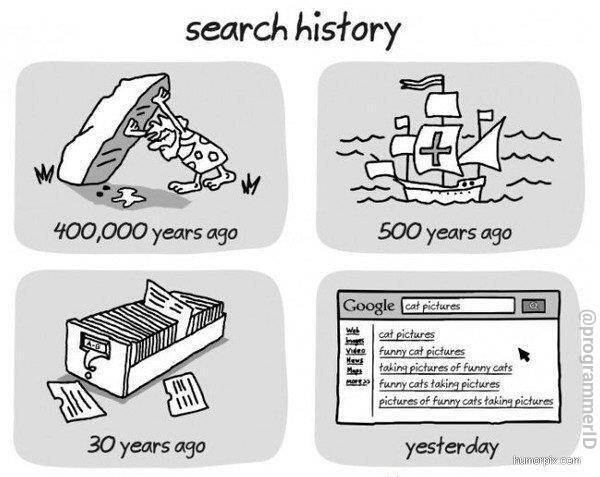 programmerID's tweet image. Search history #google #seo #programmer
