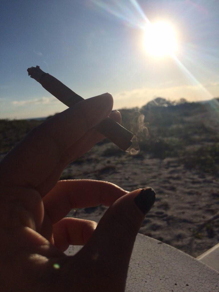 SnapchatView's tweet image. Venice, FL.