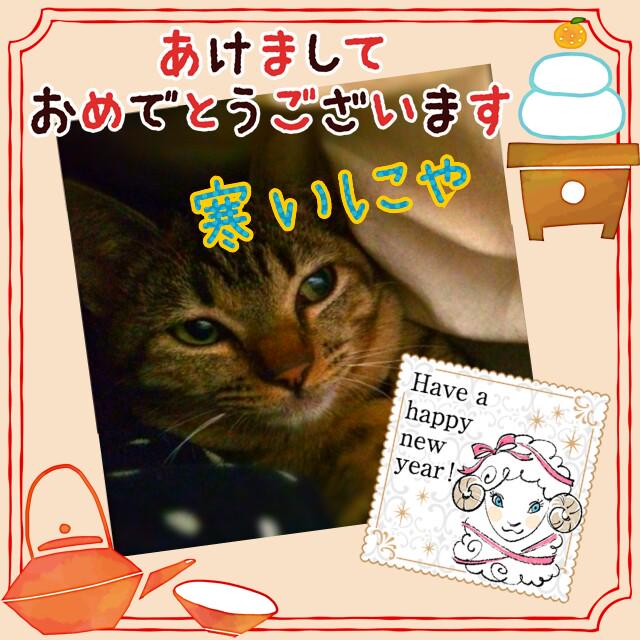 Collon2013 tweet picture