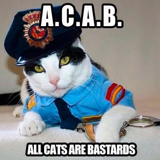batasunnis's tweet photo. A.C.A.B
#acab #AllCatsAreBastards http://t.co/Uak18fpV8Z