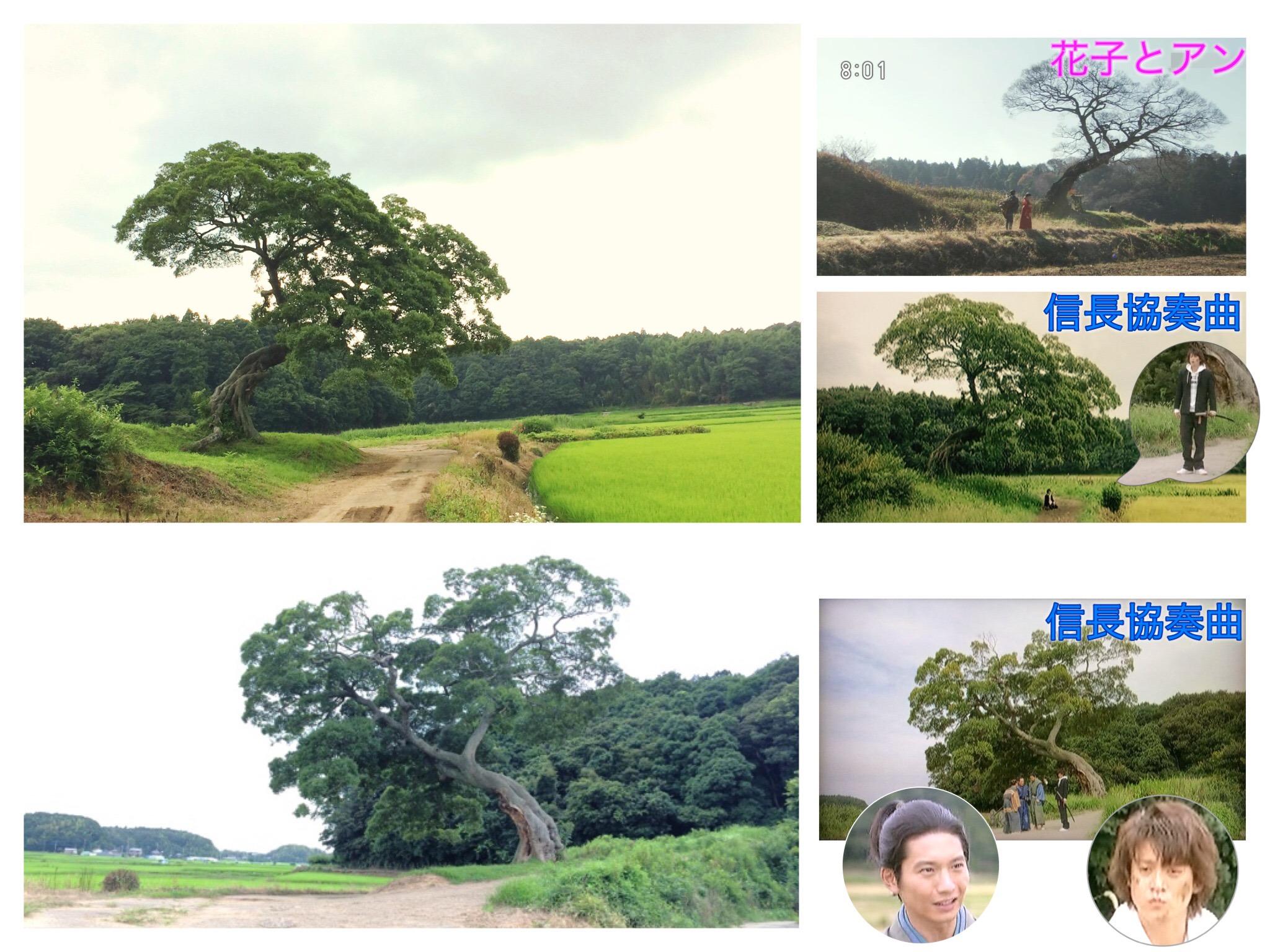 ほのり Auf Twitter フジ 信長協奏曲 で 小栗旬さん演じる主人公サブローがタイムスリップして織田信長と出会う場所のロケ地は印西市中根の一本榎のある田園 Nhk朝ドラ 花子とアン では 吉高由里子さん演じる村岡花子の故郷としても使われた場所です Http T