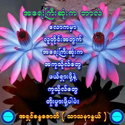 zawwz's tweet photo. http://t.co/XjGK7b8bVK