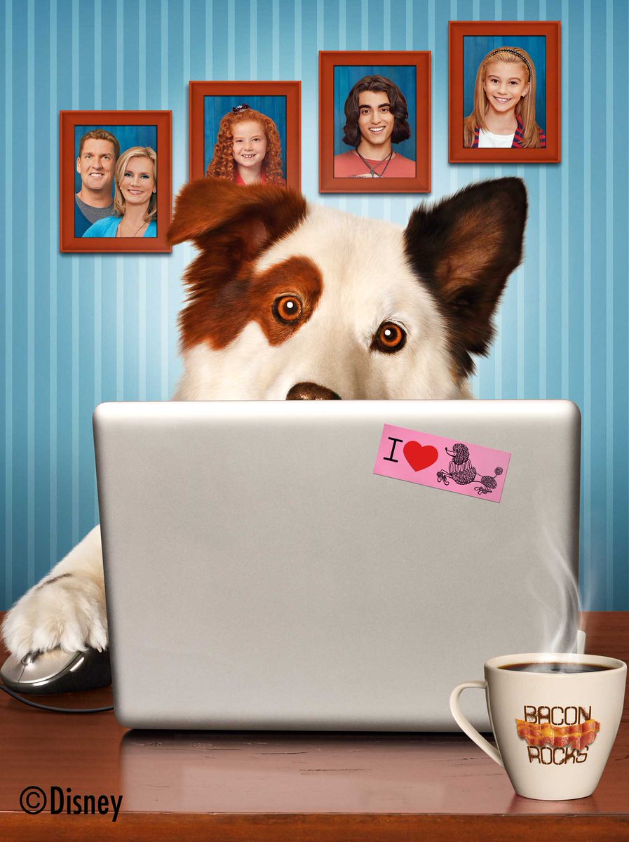 ディズニー チャンネル スターズ 公式 Auf Twitter 無料のbsテレビ局dlife ディーライフ では 明日12月日 土 16 30 ブログ犬スタン を第1話から放送 言葉を話せてブログまでできちゃうスーパードックと飼い主ファミリーが巻き起こすドタバタコメディ