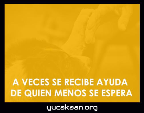 yucakaan's tweet photo. http://t.co/240fcwi1fQ