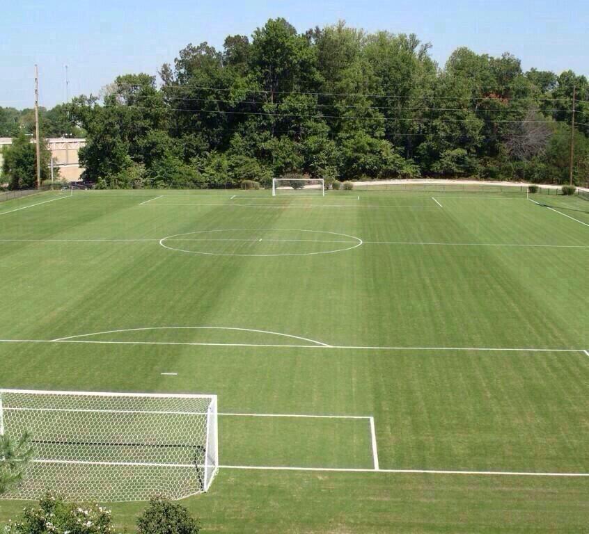FootballFunnnys's tweet photo. This field is more attractive than most of the people I know... http://t.co/qbz9LL3yVA