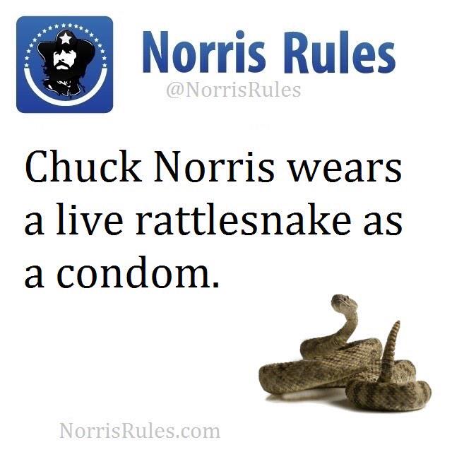 NorrisRuIes's tweet photo. http://t.co/FPZzNUSNB3