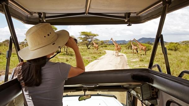 BBC_Travel's tweet image. Follow in the footsteps of #Hemingway in northern #Tanzania: bbc.in/1qxW7fr  #fictionalfootsteps #Africa