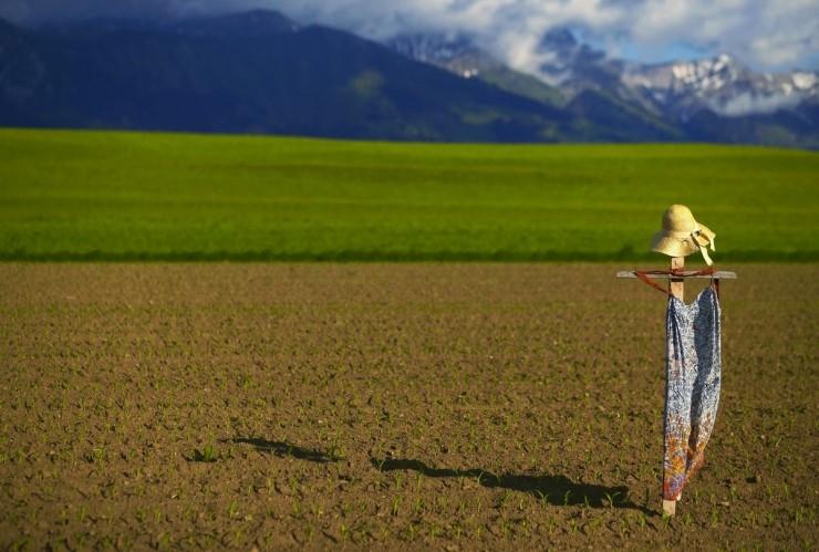 우리 미래의 식량자원으로 손꼽히는 카사바, 
타피오카 펄의 재료가 되는 카사바 자세히 알아보기 ▶ bit.ly/1zaMKfg