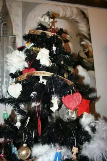 CTabusso's tweet image. 