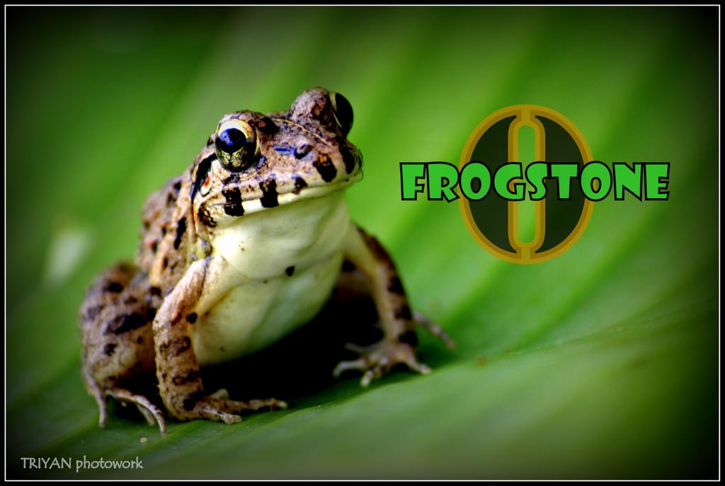 triyan203's tweet image. Di musim hujan #katak semakin ramai euy @frogstonecloth @frogstonestore @FT_workshop