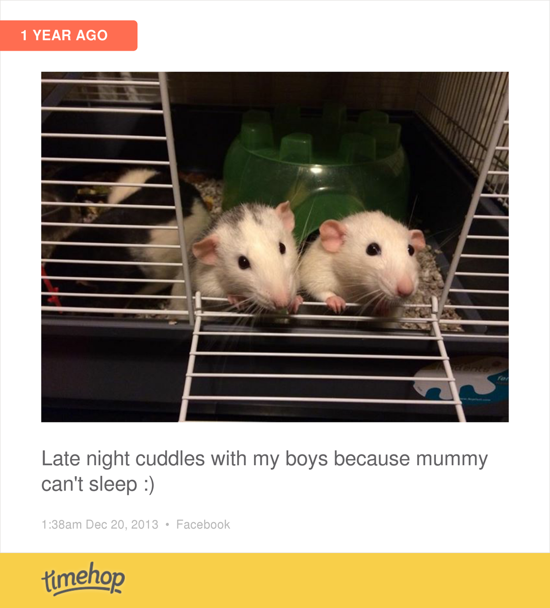 HeidiVictoria93's tweet photo. Aww, and both of these boys are no longer here :( xxx http://t.co/fv50Cco2S9 http://t.co/lnbHcEopFU