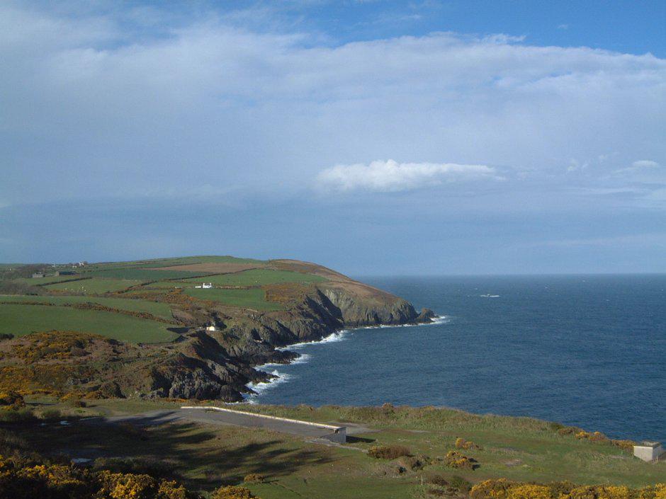 pokerfusepro tweet media