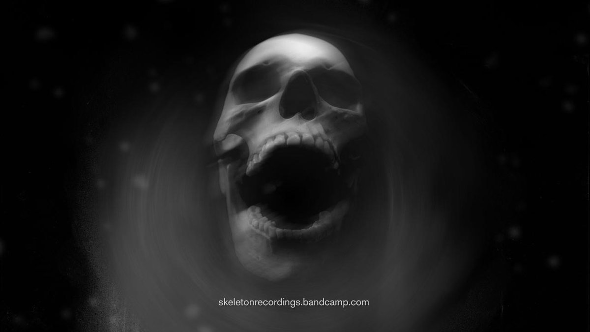 Skeleton Recordings tweet media