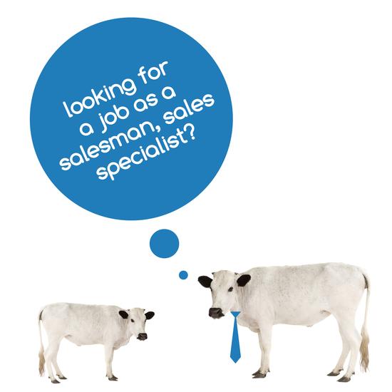 Airginity's tweet image. Due to expansion   Airginity   is looking for a new team member.          We are looking f bit.ly/1wrzqkG