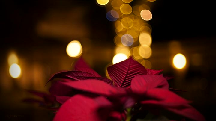 etnaroccadapi's tweet image. Natale2014#Calore#Sogno#Emozioni#Etna#Isola#Unica#VaeVictis#ZeroUnoEtnaRosso#Auguri#Cordialmente#SalvatoreCastorina