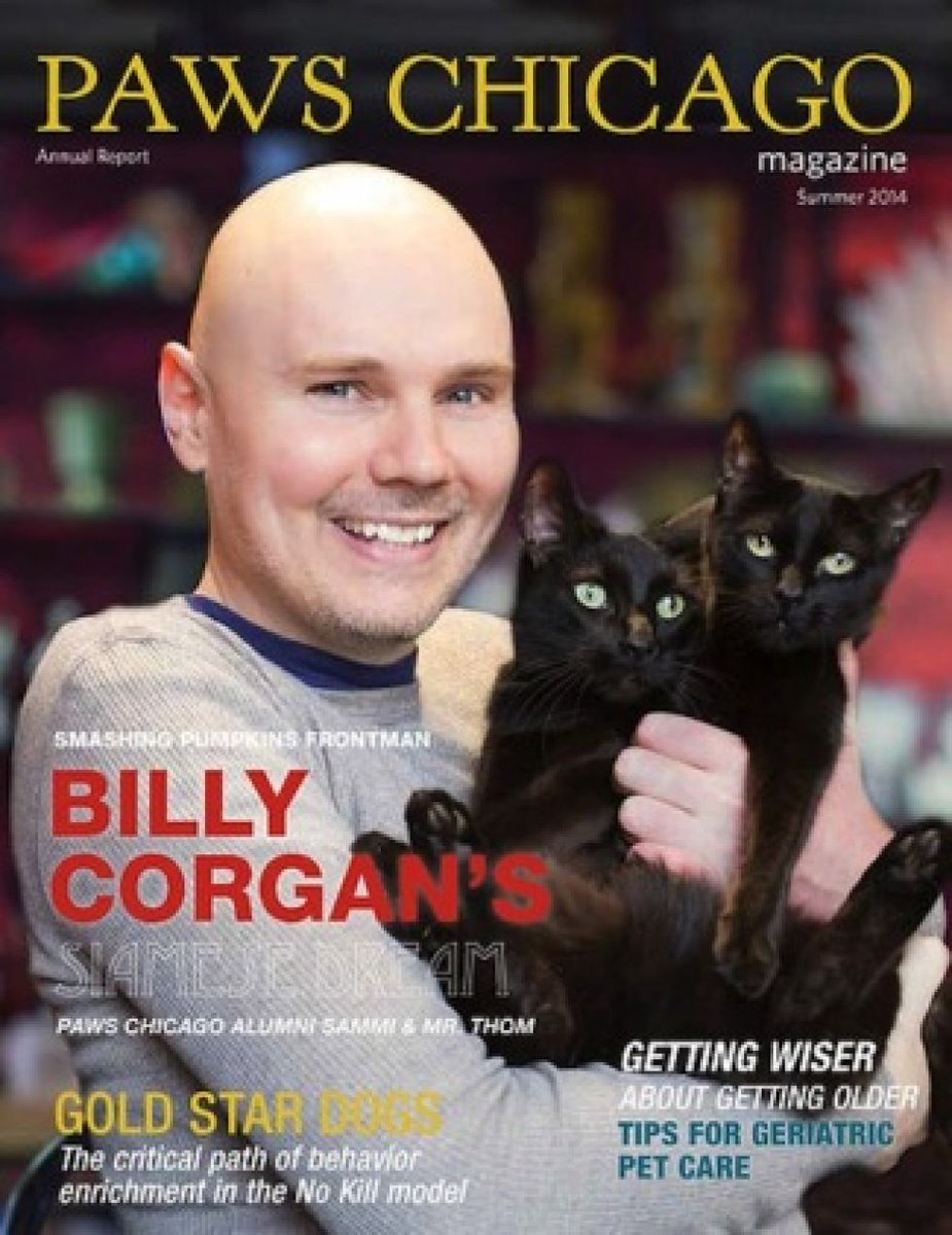 OllieCook86's tweet photo. @PaulThomasMS and possibly the best front cover of all time.. http://t.co/KqYzfqdTtH