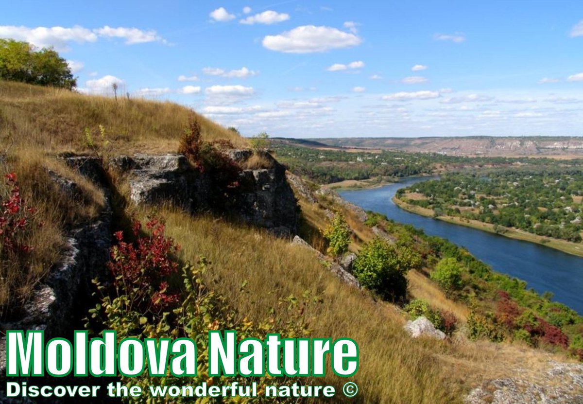 MoldovaNature's tweet photo. Что ты знаешь об памятниках природы Молдовы?
Читай: https://t.co/mgj6BzEsfj #MDnature #Moldova #nature http://t.co/SDWIglldGU