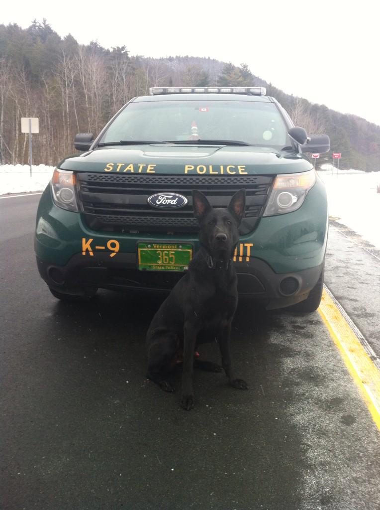K9 Arrow says move over and slow down for emergency vehicles #PolTwt