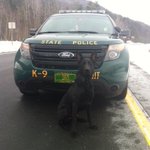 Photo by VSP K9 Team (@VSPk9)