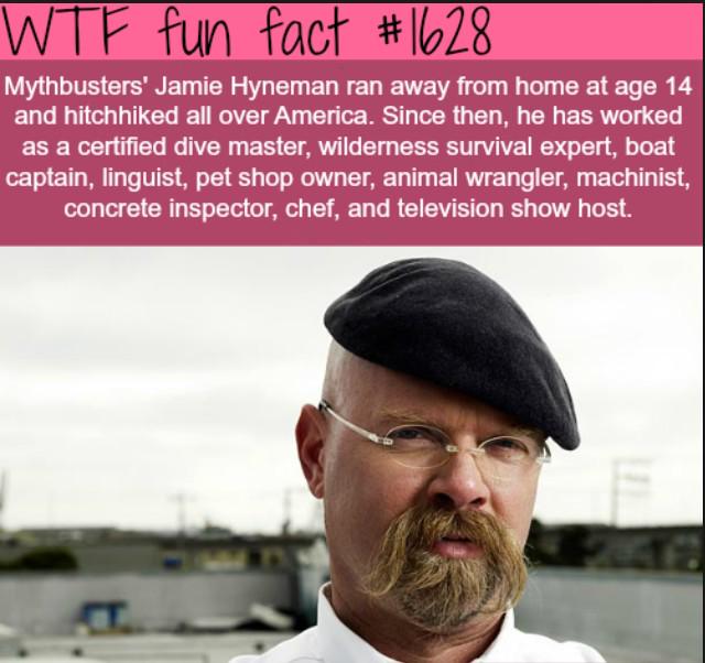 WEIRDEST FACTS (@the_lost_facts) on Twitter photo 