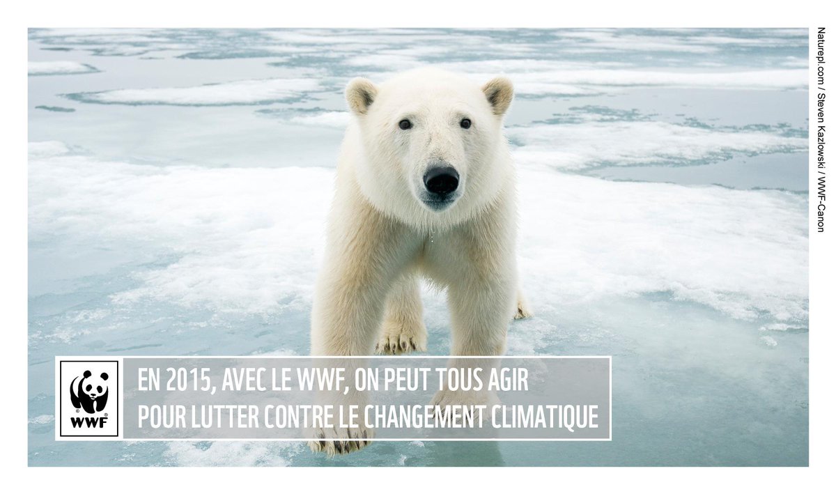 WWF France 🐼 tweet media