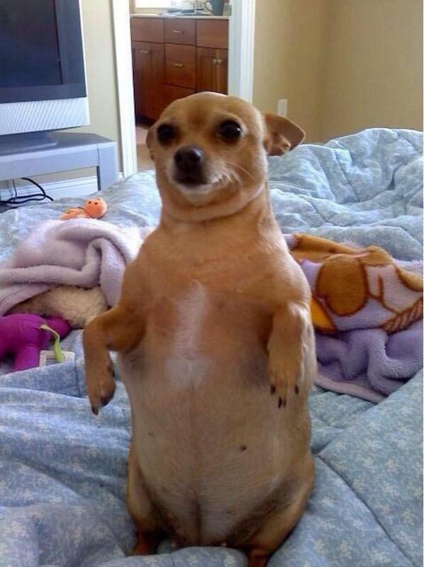 iWhat_The_fuck's tweet photo. Yo, después de pasar estas fiestas 😂 http://t.co/6a97MyO3OY
