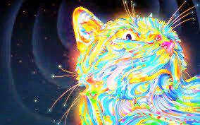 drunkitteh tweet picture