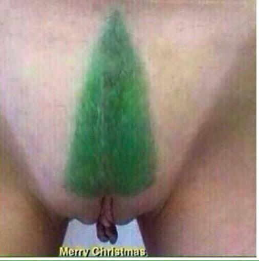 A_Meakin1986's tweet photo. Christmas tree finally up. Hard work that 😭 http://t.co/QI993EDQT9