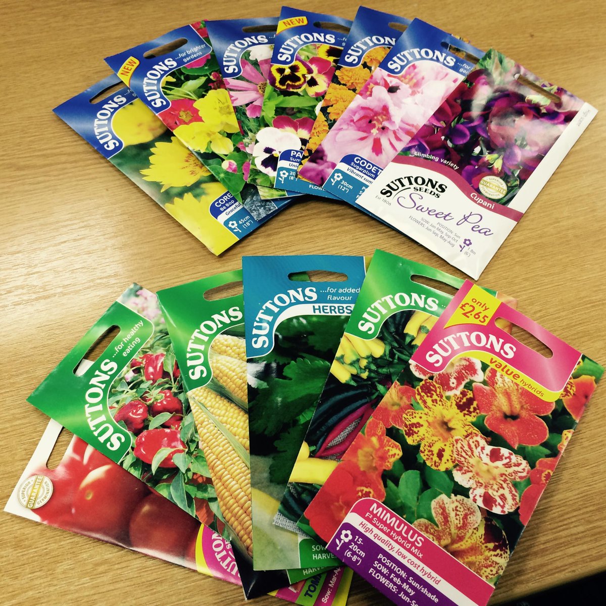 SilverlineTools's tweet photo. #WIN our entire Somerset gardening collection &amp; selection of @suttons_seeds!FOLLOW &amp; RT by 5pm! #12DaysOfSilverline http://t.co/fQH7Lzltpf