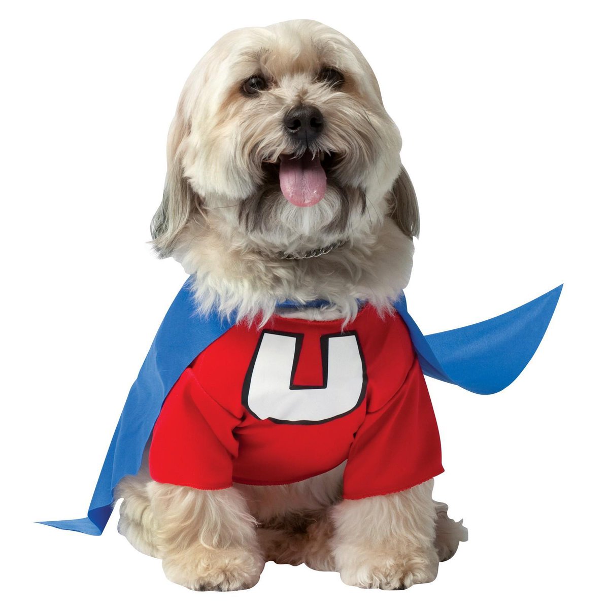 Did you know that today is National Underdog Day?? #UnderdogDay