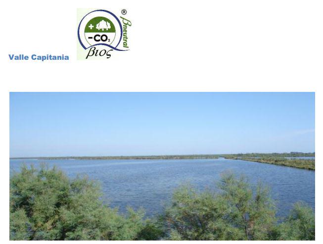 eCO2care's tweet photo. Tutti i dettagli del progetto VALLE LAGUNARE Rosolina e della certificazione #BNeutral su http://t.co/dCNQUaaaXK #VER http://t.co/iS0KFhP04x