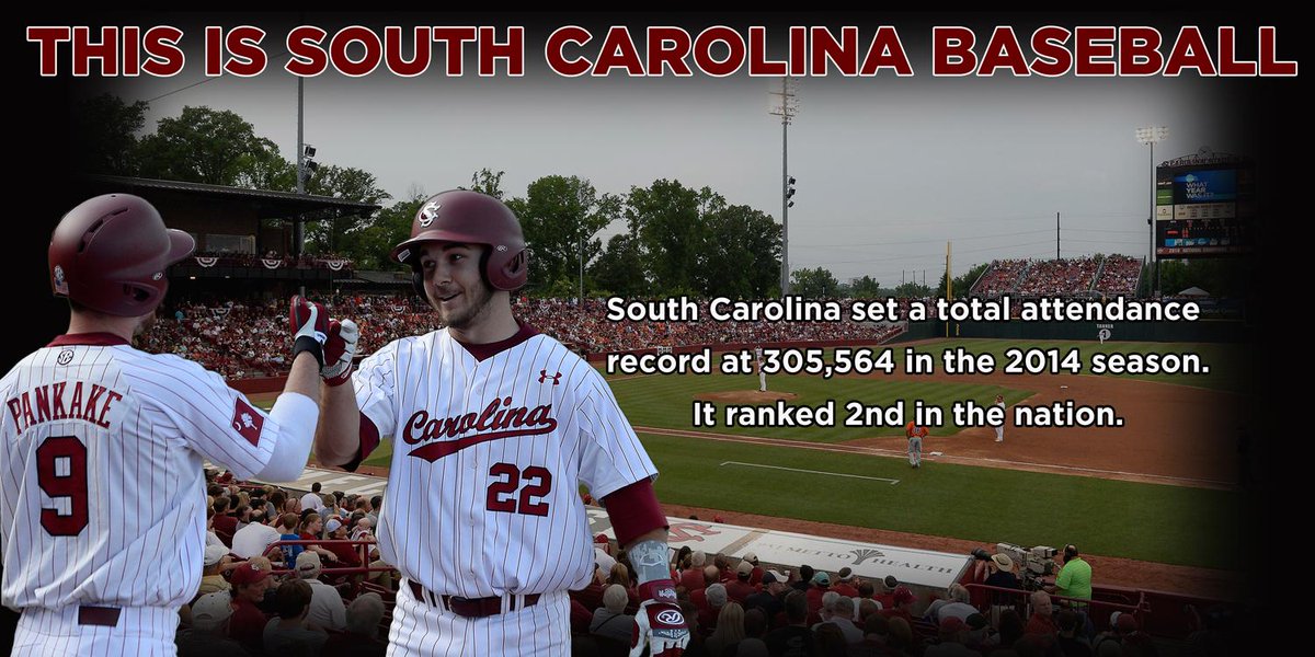 GamecockBSB's tweet photo. This is South Carolina -  #Gamecocks set total attendance record last year at 305,564, 2nd best in nation. http://t.co/Dc2qLlmPy6
