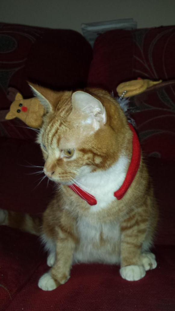 micrababe's tweet image. 