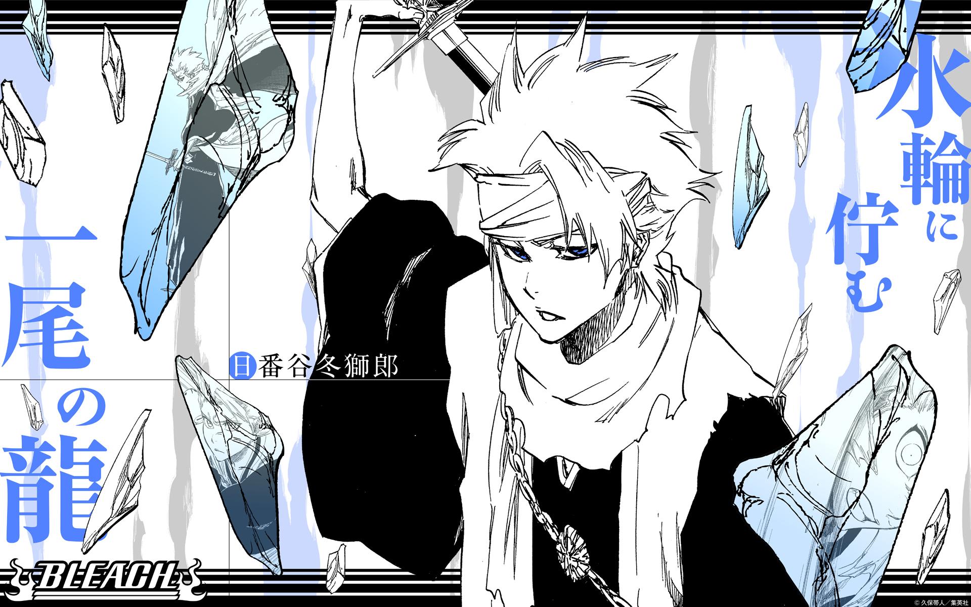 BLEACH 販促ポスター 日番谷冬獅郎 描き下ろし日番谷冬獅郎 B2タペストリー [TVアニメ『BLEACH
