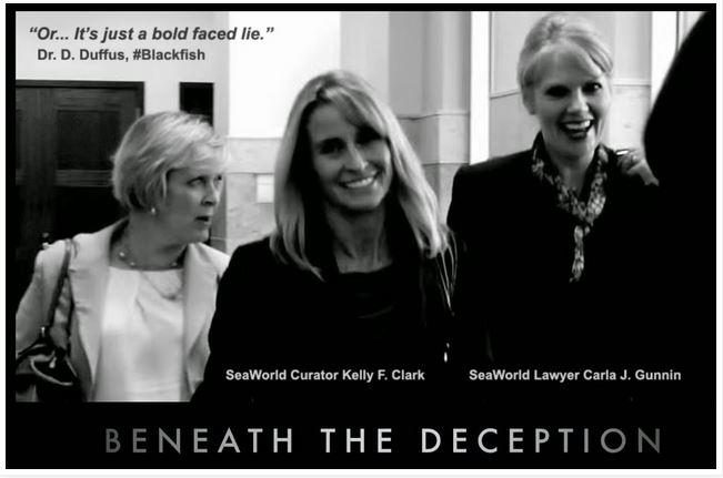 Ann Kathryn tweet media