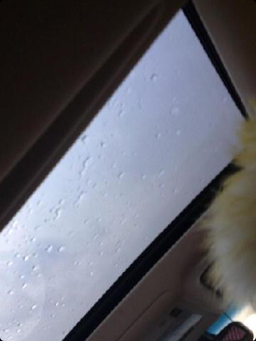 mxmxbn tweet picture