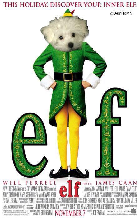 buddylovato's tweet photo. I love this edit it's my favourite Christmas movie🐶🐶🎄💗 http://t.co/4dzfJf3ypJ