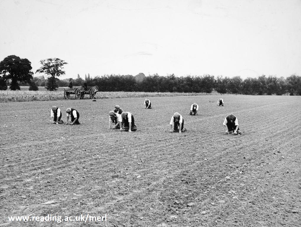 TheMERL's tweet photo. ♫ On the 10th day of Xmas my museum sent to me: 10 men-a-hoeing ♫ #12off http://t.co/KIS2VgIdgG
